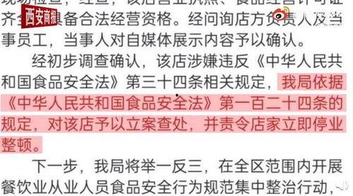 最新黄瓜爆料视频,揭秘视频中的惊人真相与幕后故事